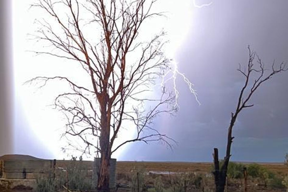 Gesogte Karoo Plaas: Calvinia - Photo 4