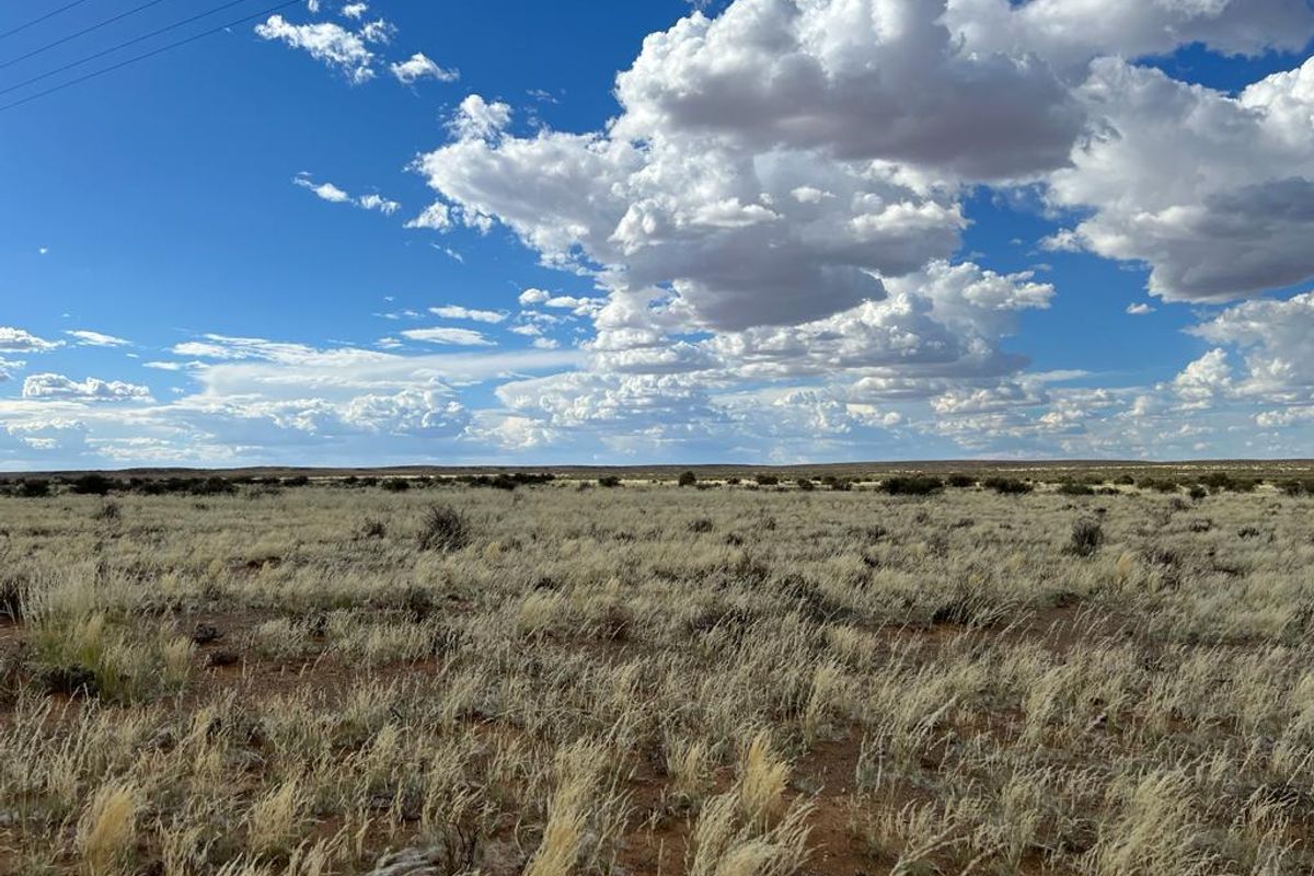 Gesogte Karoo Plaas: Calvinia - Photo 2