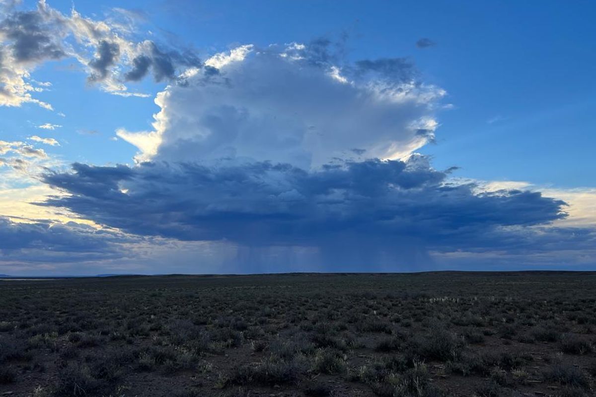 Gesogte Karoo Plaas: Calvinia - Photo 5