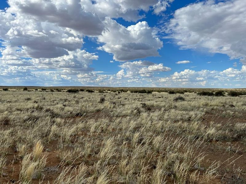 Gesogte Karoo Plaas: Calvinia - Photo 3