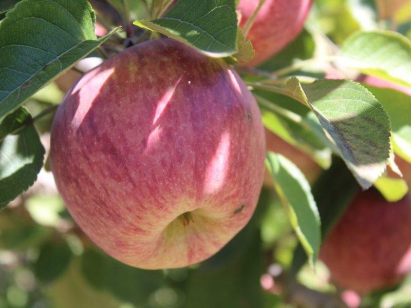 Priced to Sell! - Photo 4