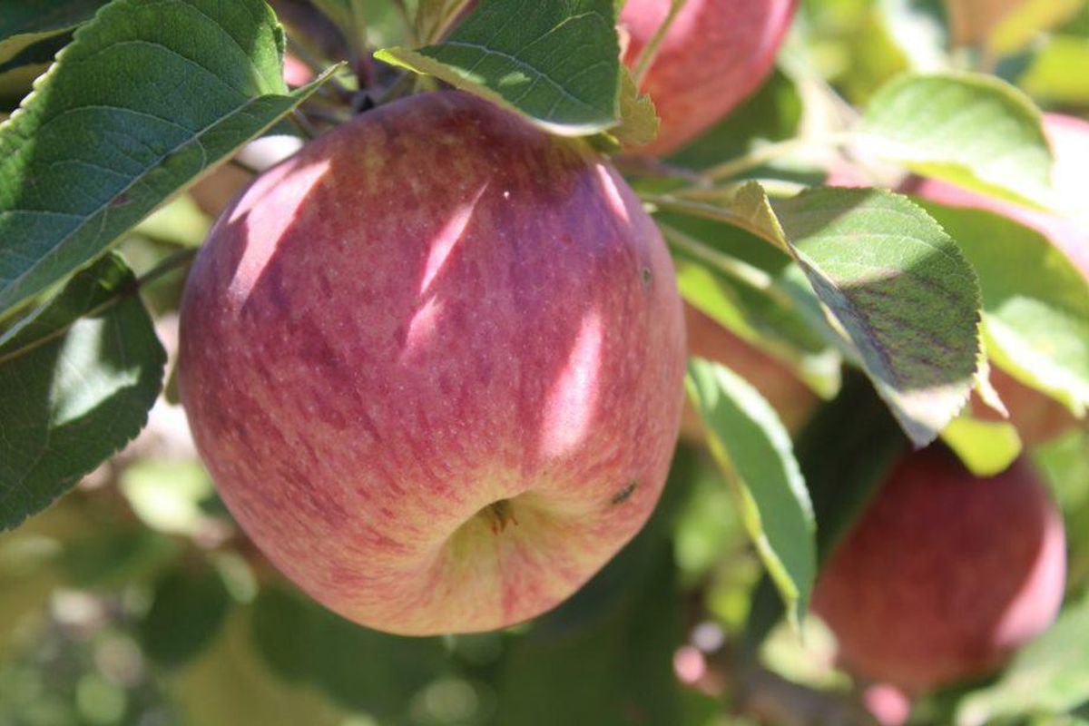 Priced to Sell! - Photo 4