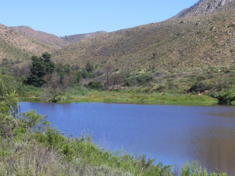 Priced to Sell! - Photo 5