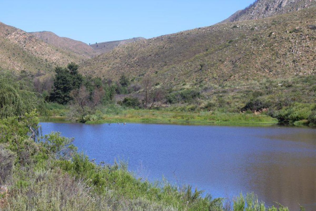 Priced to Sell! - Photo 5