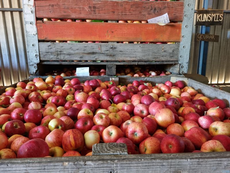 Priced to Sell! - Photo 3