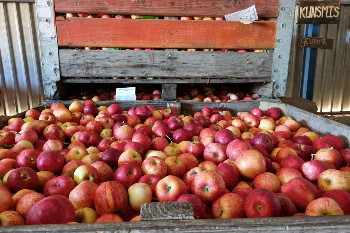 Priced to Sell! - Photo 3