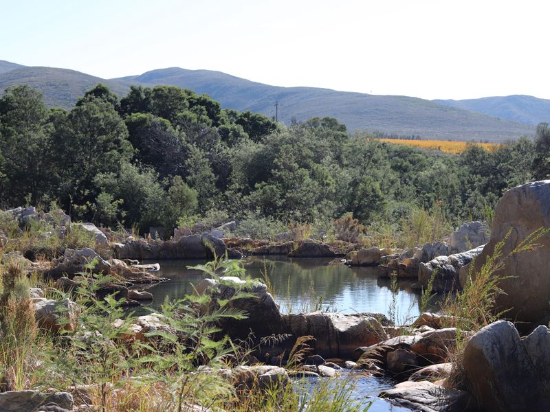 Priced to Sell! - Photo 2