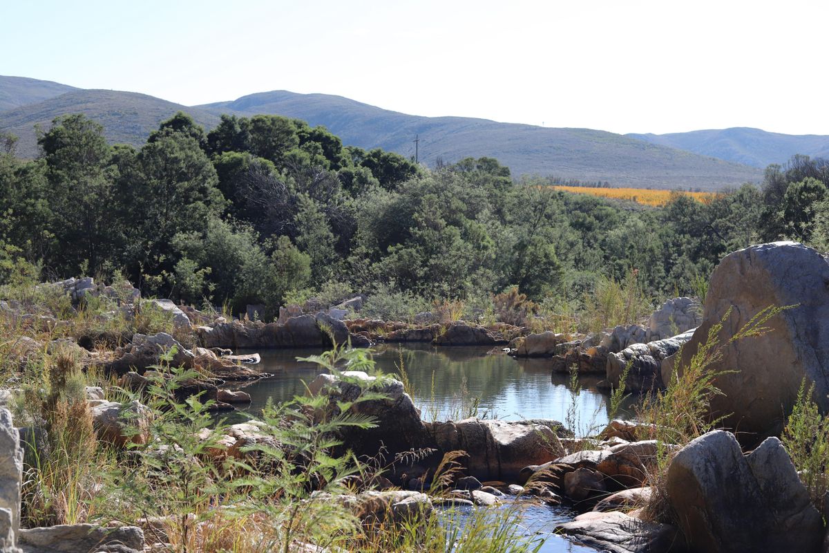 Priced to Sell! - Photo 2