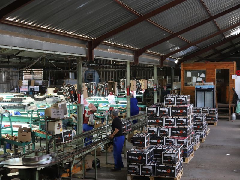 Priced to Sell! - Photo 10