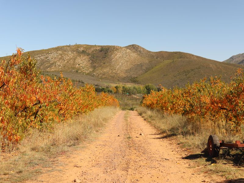 Priced to Sell! - Photo 7