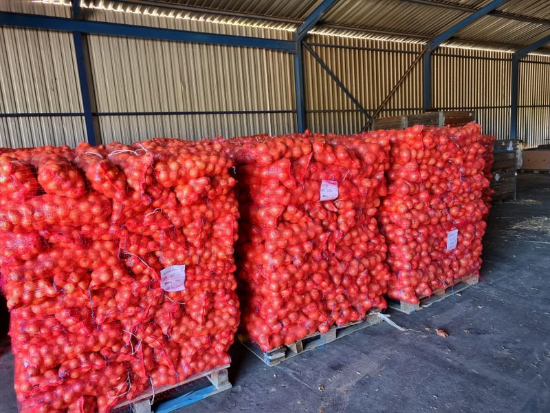 Priced to Sell! - Photo 6