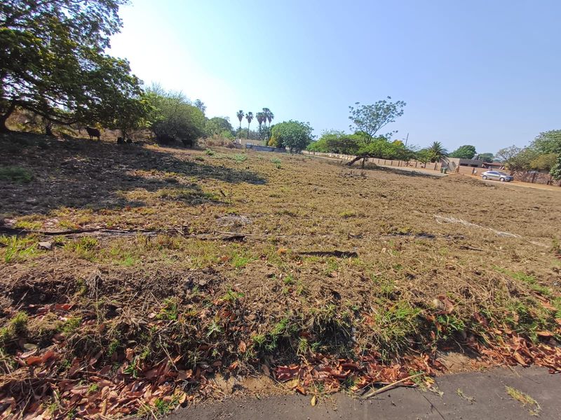 Empty stand for sale in old town, Louis Trichardt - Photo 6