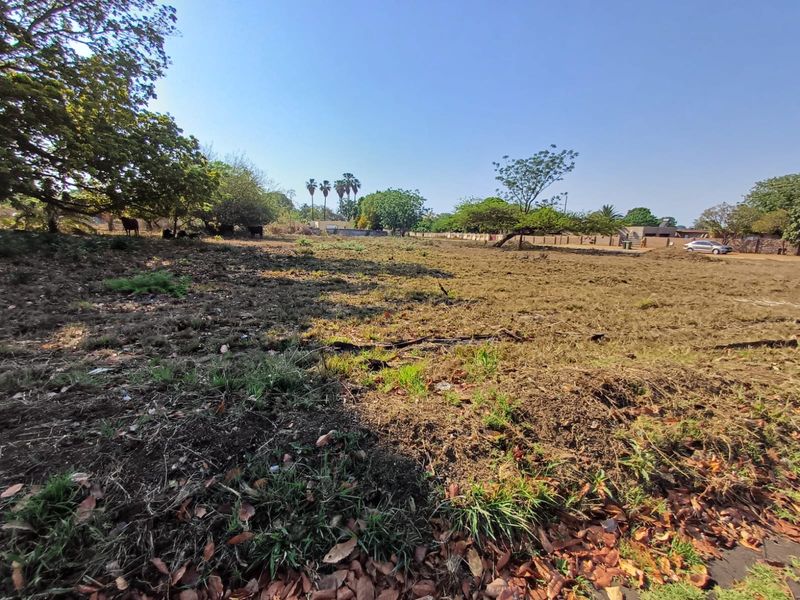 Empty stand for sale in old town, Louis Trichardt - Photo 7