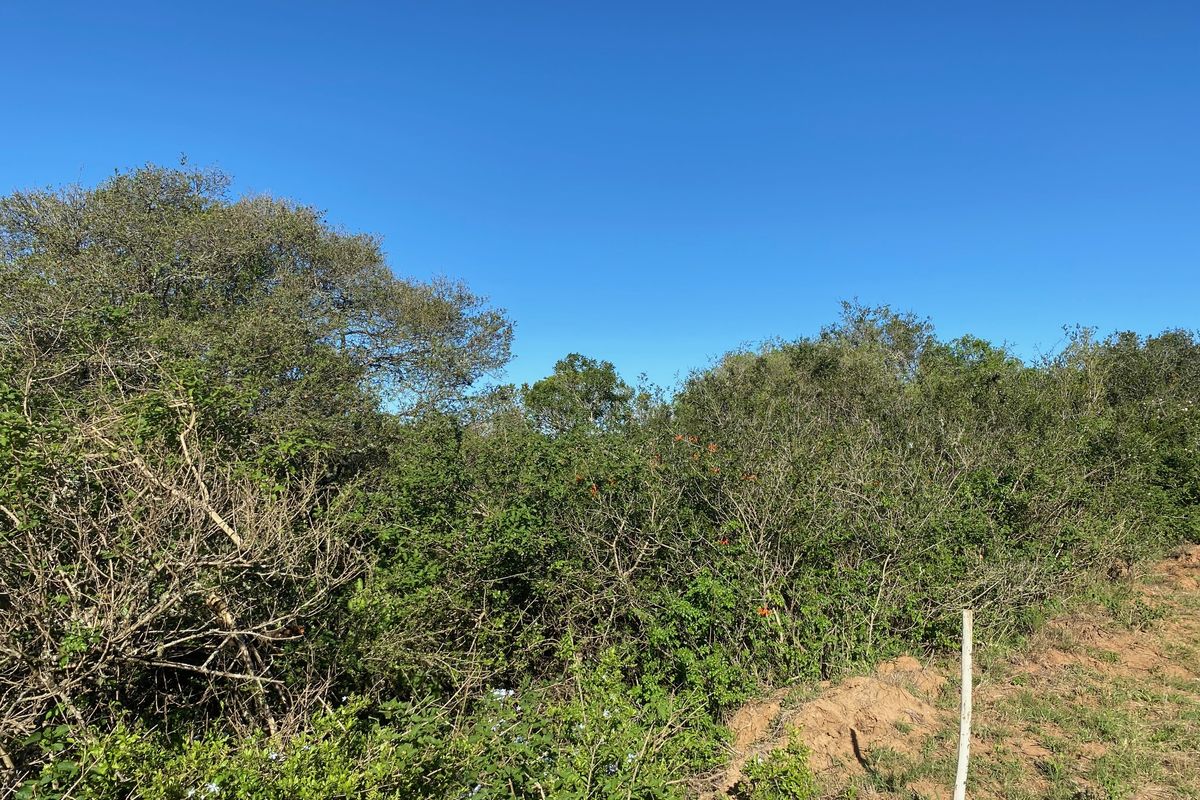 Vacant Stand For sale in Bathurst - Photo 3