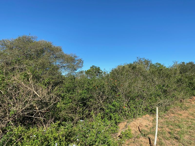 Vacant Stand For sale in Bathurst - Photo 3