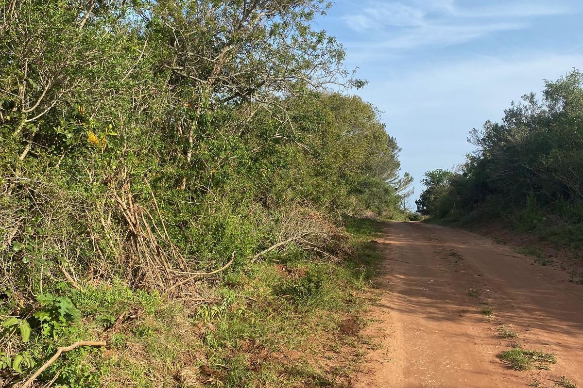 Vacant Stand For sale in Bathurst - Photo 2