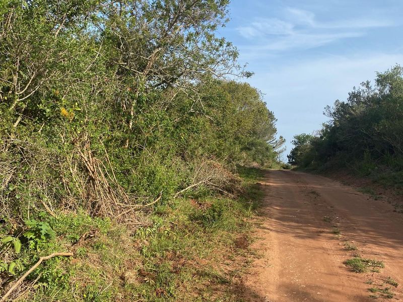 Vacant Stand For sale in Bathurst - Photo 2