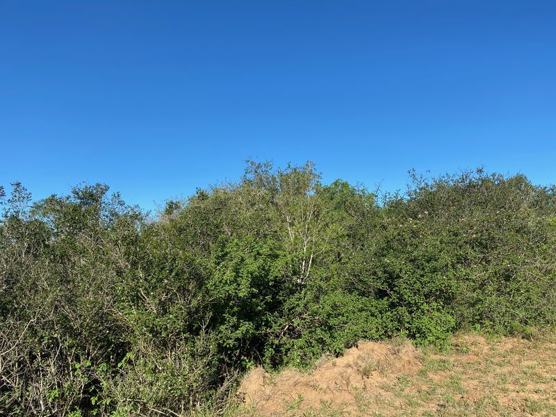 Vacant Stand For sale in Bathurst - Photo 10