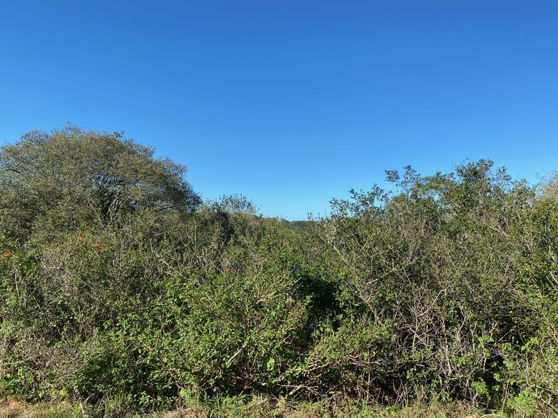 Vacant Stand For sale in Bathurst - Photo 9