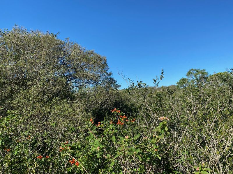 Vacant Stand For sale in Bathurst - Photo 4