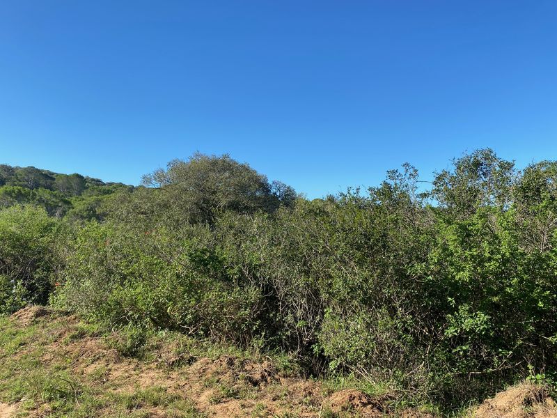 Vacant Stand For sale in Bathurst - Photo 8