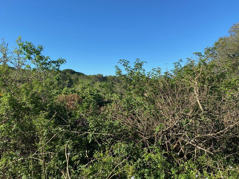 Vacant Stand For sale in Bathurst - Photo 7