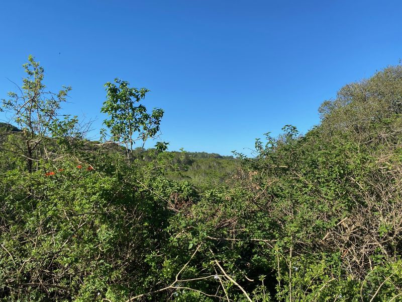 Vacant Stand For sale in Bathurst - Photo 6