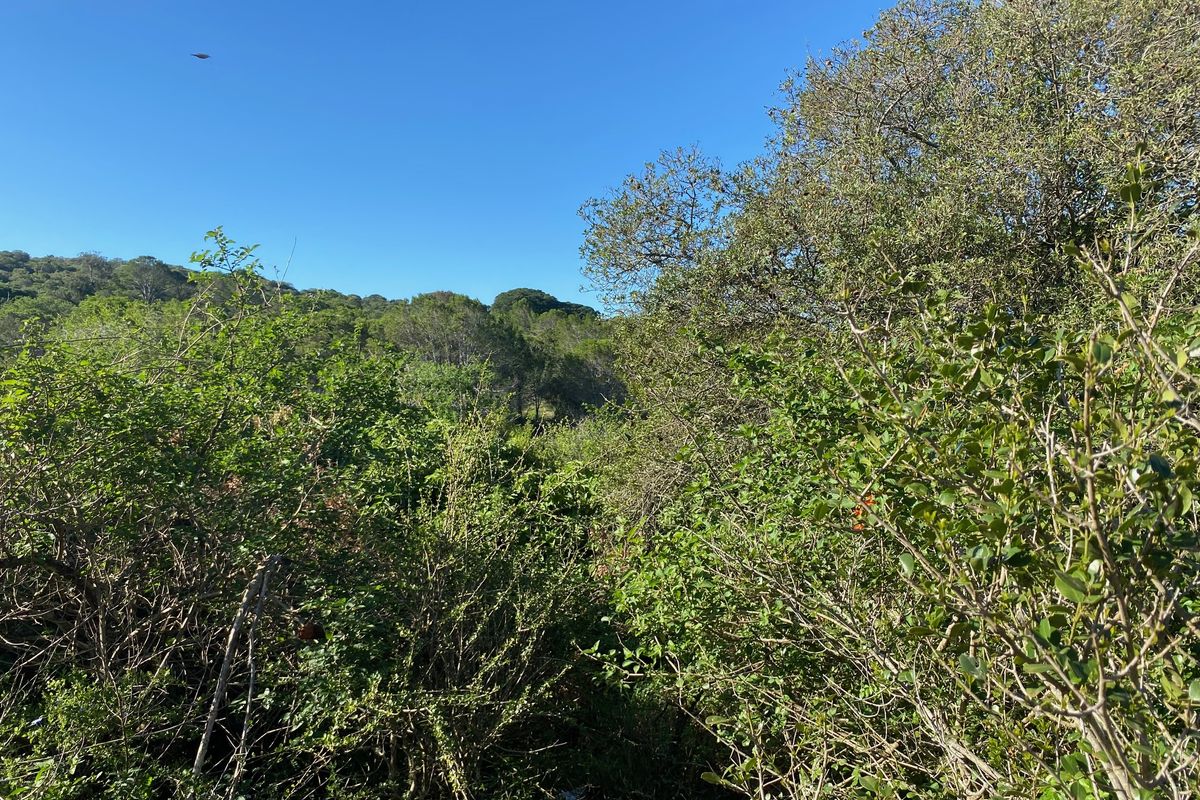 Vacant Stand For sale in Bathurst - Photo 5