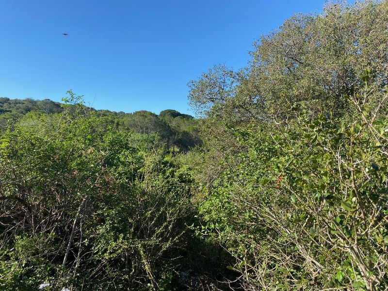 Vacant Stand For sale in Bathurst - Photo 5