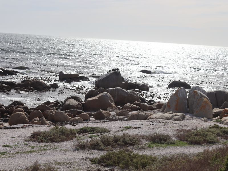 Vacant land for Sale in St Helena Bay - Photo 8