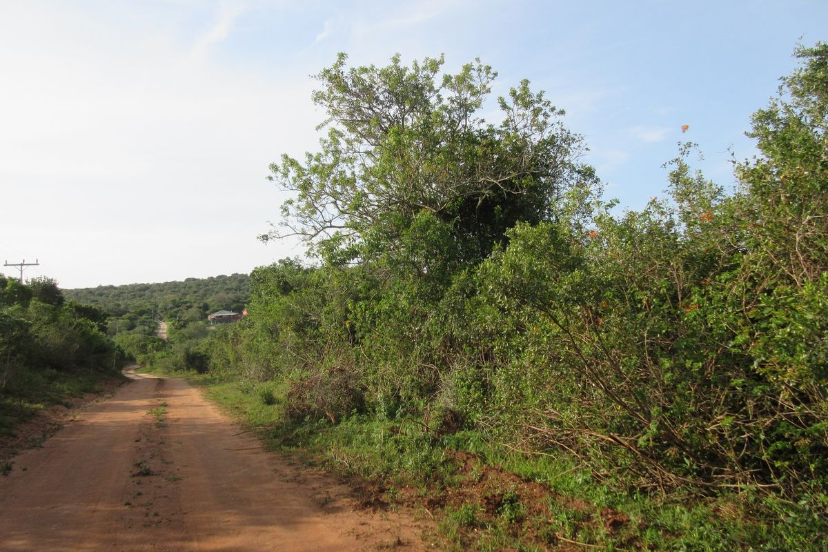 Vacant Stand For sale in Bathurst - Photo 3