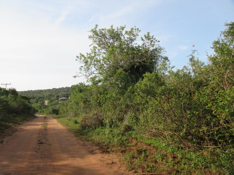 Vacant Stand For sale in Bathurst - Photo 3