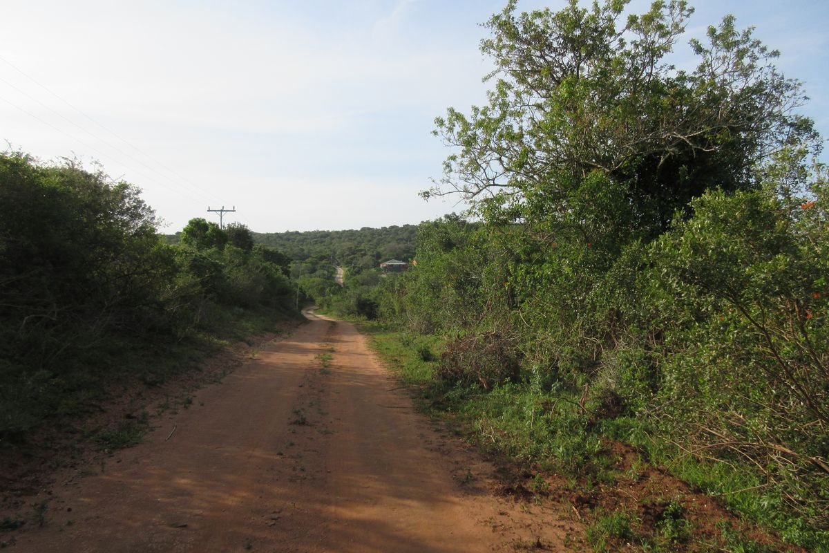 Vacant Stand For sale in Bathurst - Photo 5
