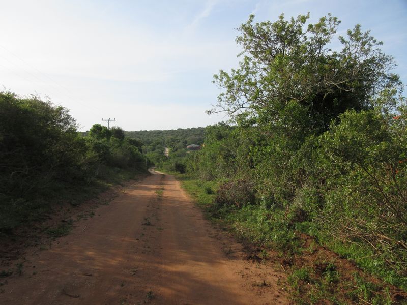 Vacant Stand For sale in Bathurst - Photo 5