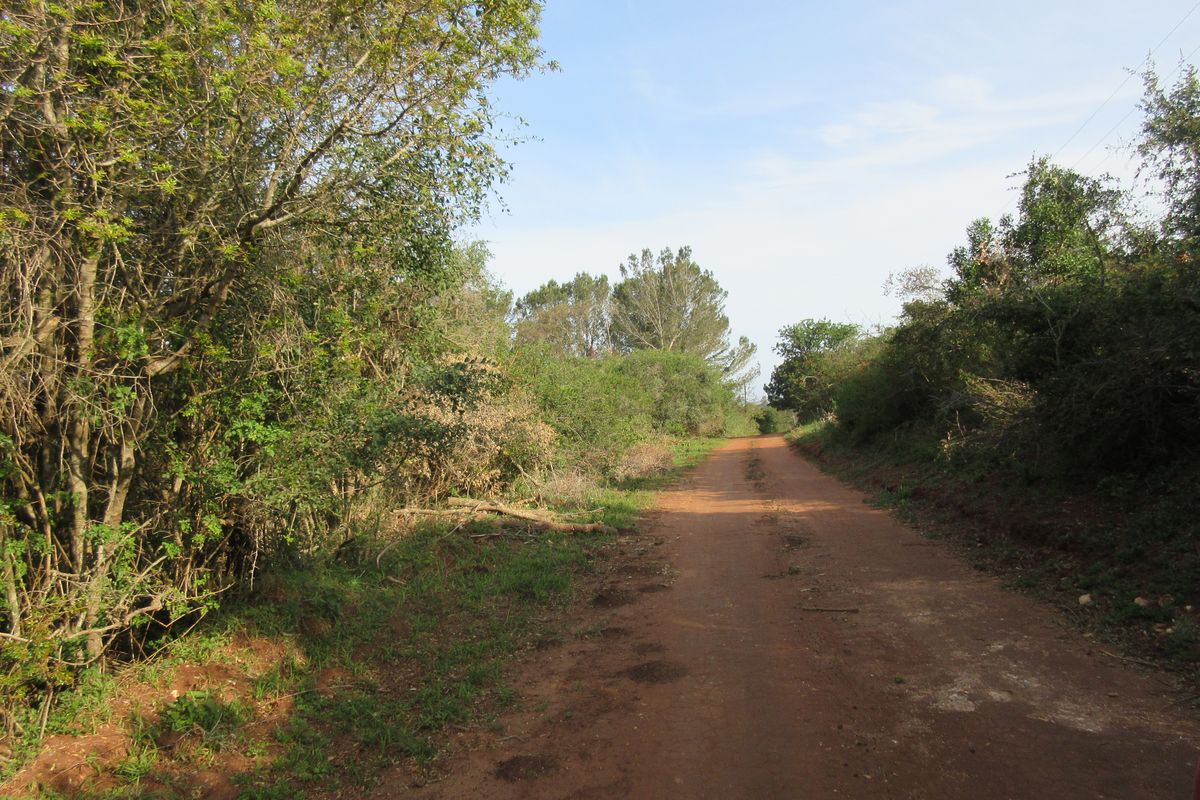 Vacant Stand For sale in Bathurst - Photo 4
