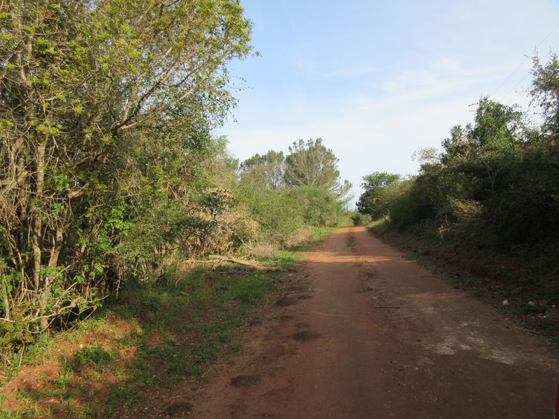 Vacant Stand For sale in Bathurst - Photo 4