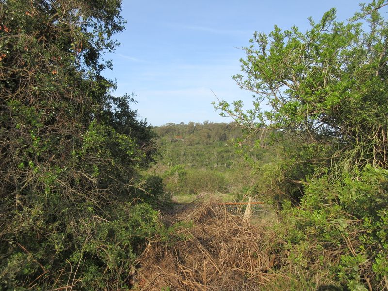 Vacant Stand For sale in Bathurst - Photo 10