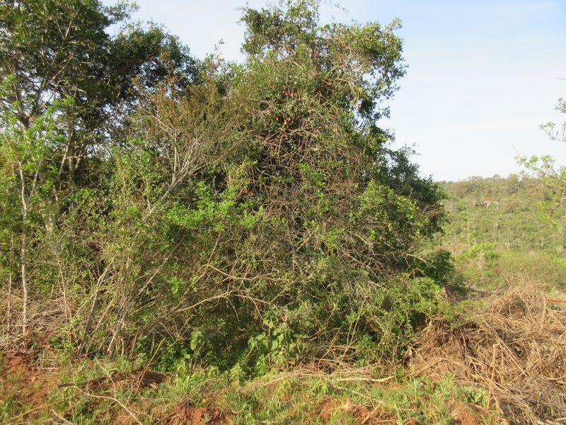 Vacant Stand For sale in Bathurst - Photo 9