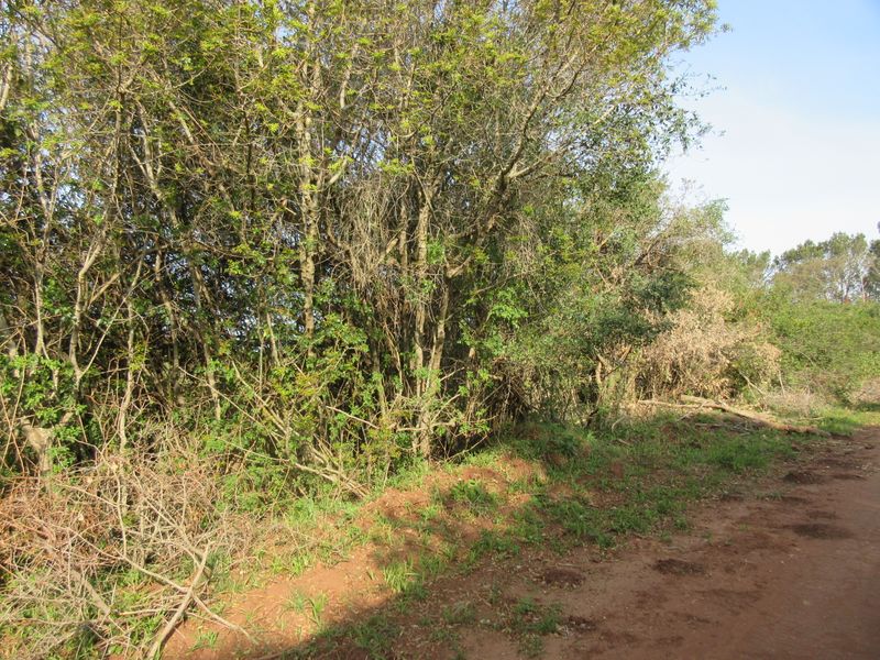 Vacant Stand For sale in Bathurst - Photo 2