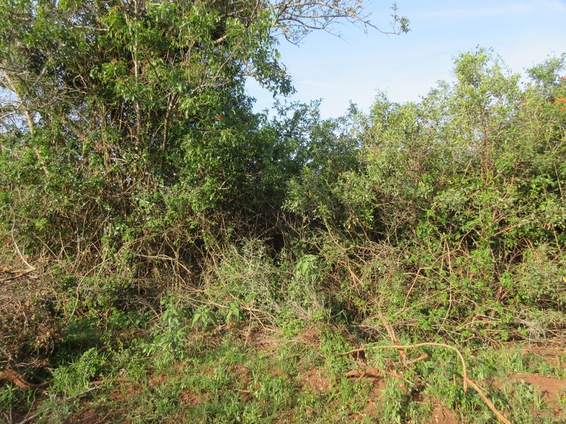 Vacant Stand For sale in Bathurst - Photo 8