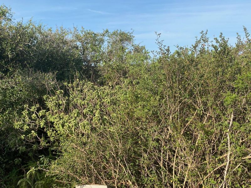 Vacant Stand For sale in Bathurst - Photo 6