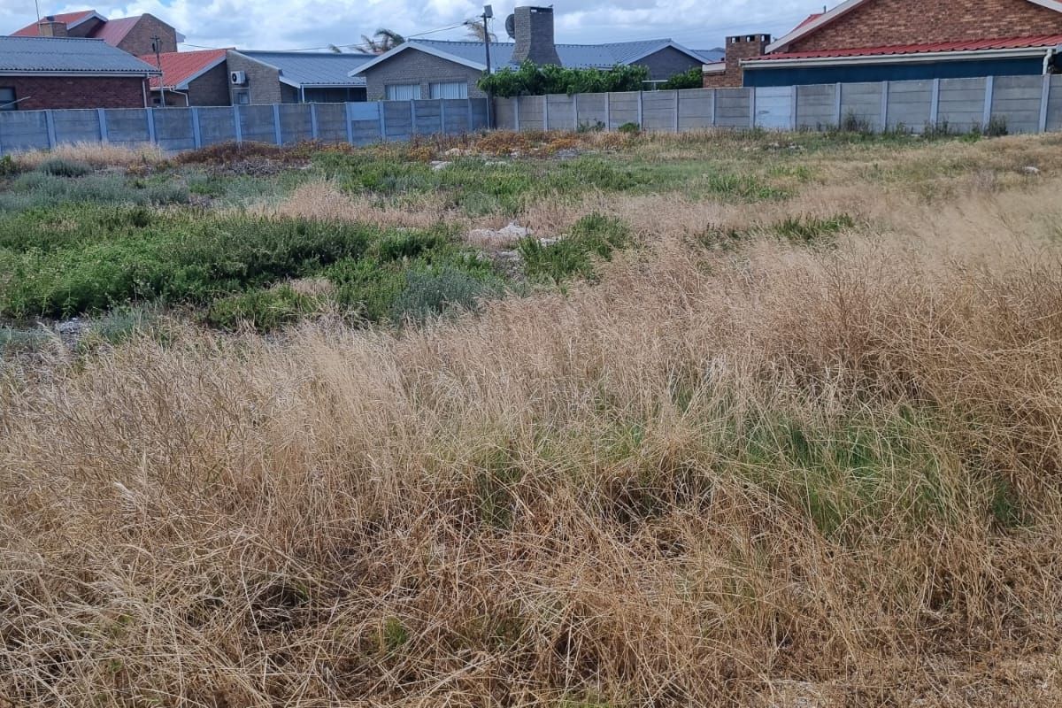 Create your own Oasis in our most famous West Coast, Dwarskersbos. - Photo 5