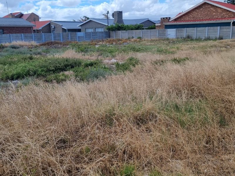 Create your own Oasis in our most famous West Coast, Dwarskersbos. - Photo 5