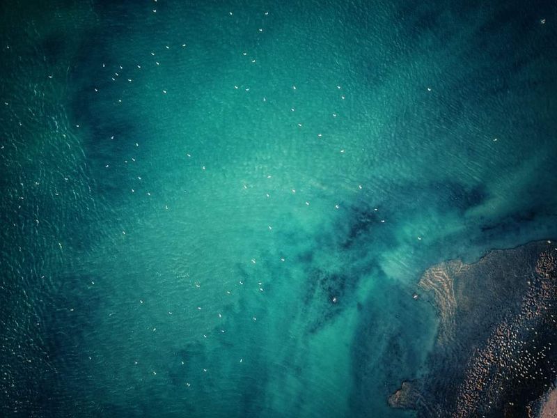 Create your own Oasis in our most famous West Coast, Dwarskersbos. - Photo 10