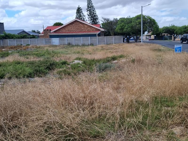 Create your own Oasis in our most famous West Coast, Dwarskersbos. - Photo 7