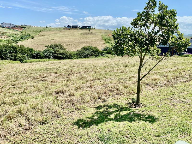 A Patch of Paradise in the heart of Springvale - Photo 3