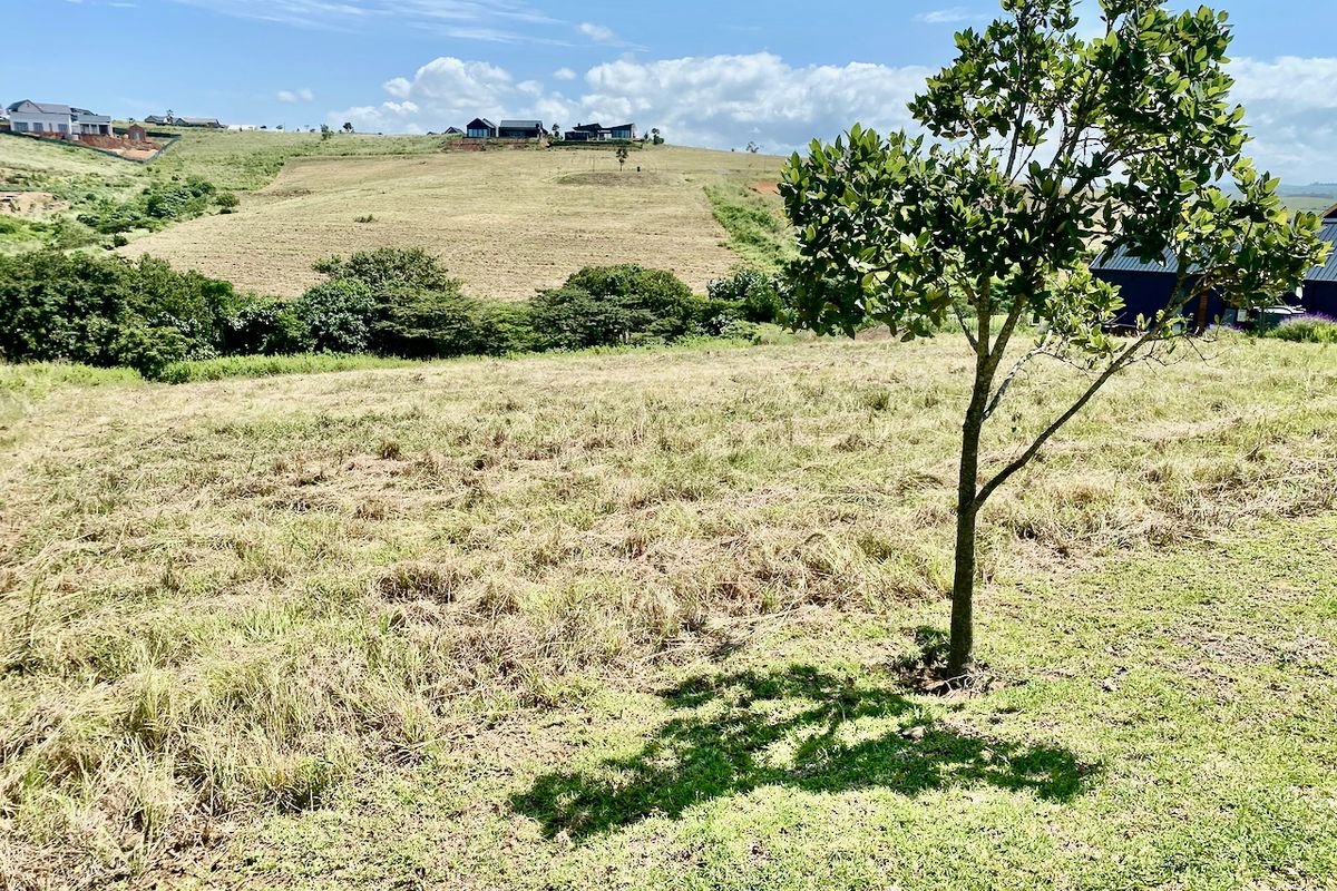 A Patch of Paradise in the heart of Springvale - Photo 3