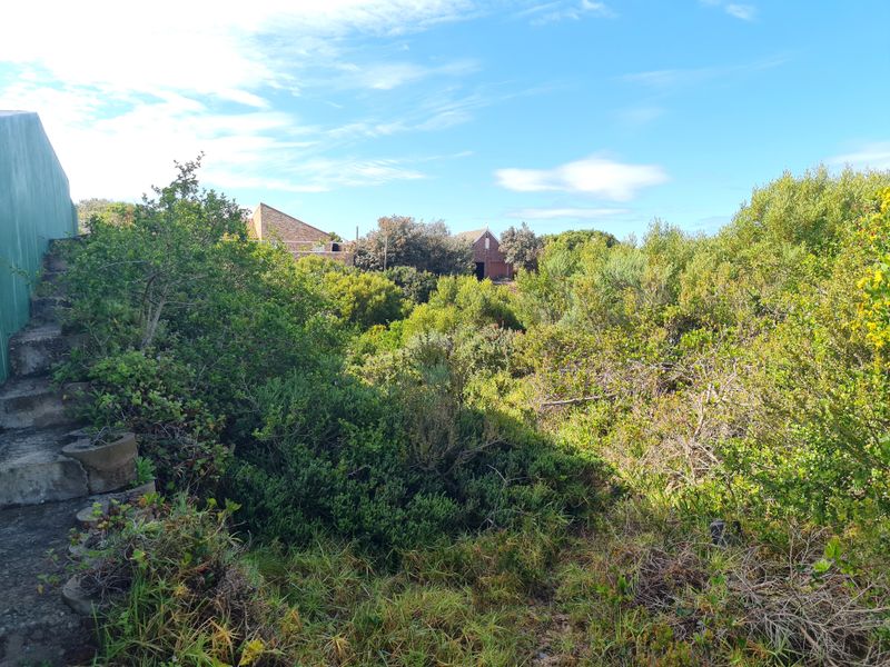 Large Vacant Stand in Good Company in Paradise Beach, Jeffreys Bay - Photo 5