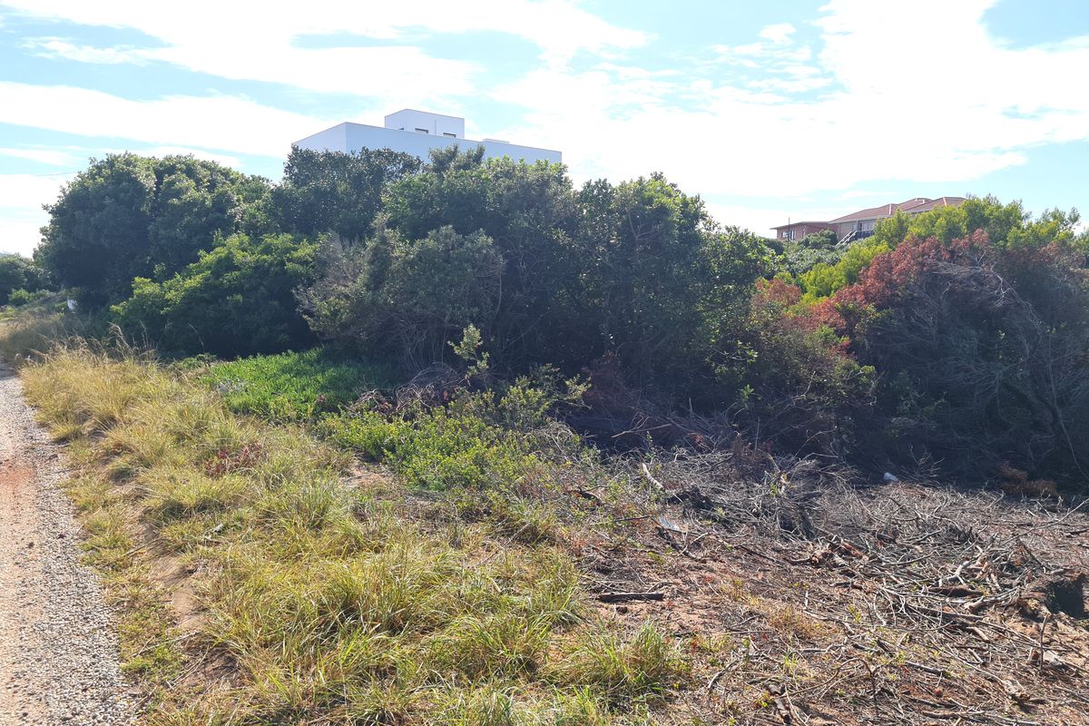 Large Vacant Stand in Good Company in Paradise Beach, Jeffreys Bay - Photo 3