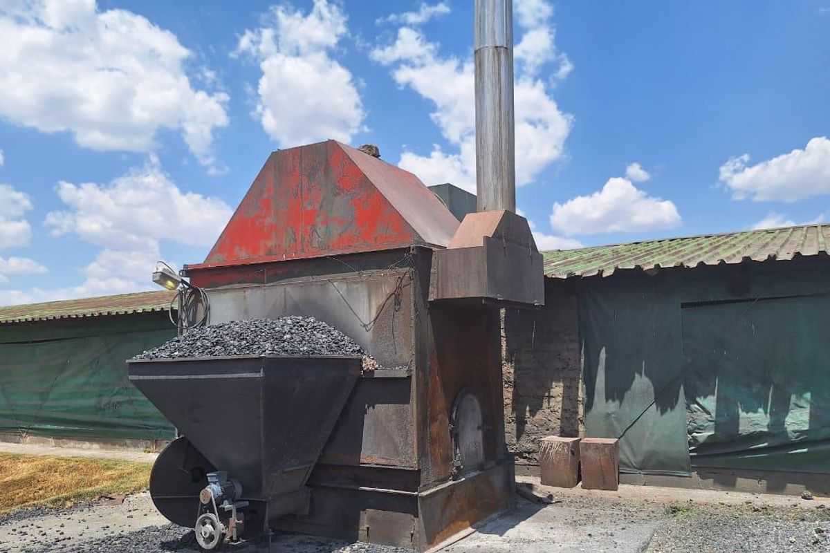 Fully Operational Chicken Farm with Agricultural Land for Sale - Photo 4